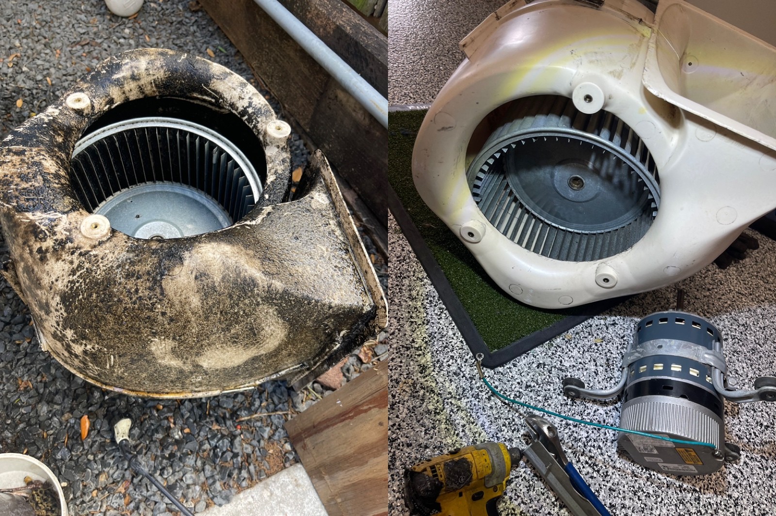 Why a Deep Blower Cleaning Made All the Difference